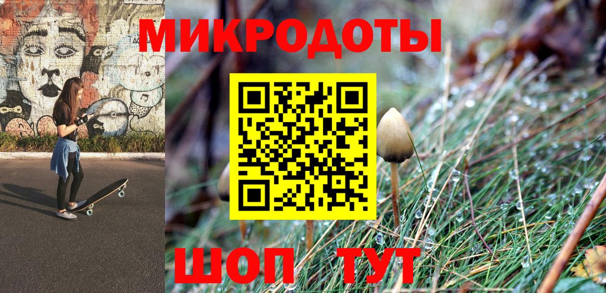 Псилоцибиновые грибы Psilocybe Ликино-Дулёво